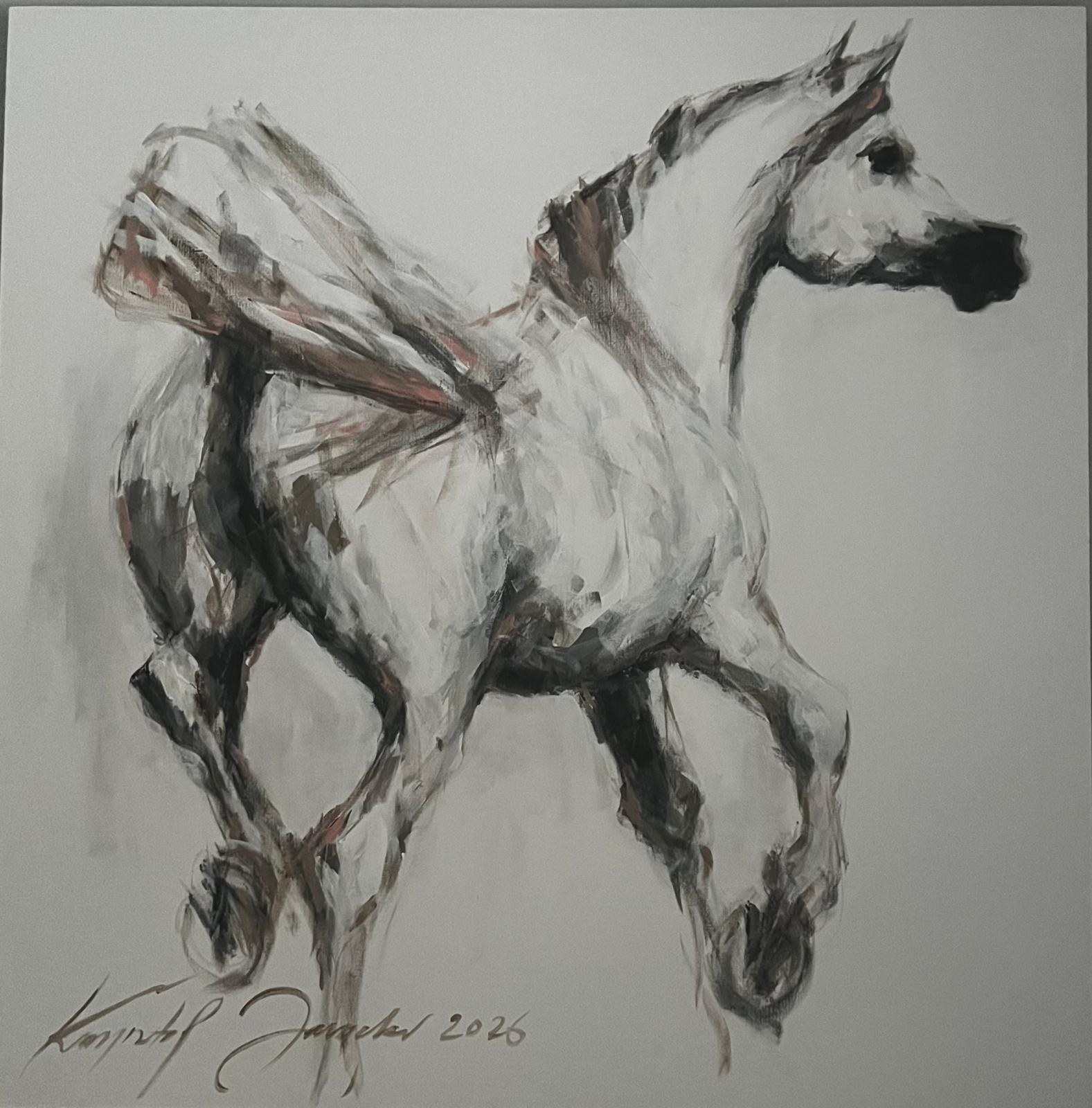 KRZYSZTOF JAROCKI 'Arab', akryl, płótno, 100x100cm