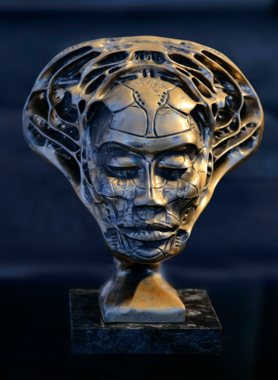 KRZYSZTOF PŁONKA 'NF1' brąz, 50x40cm