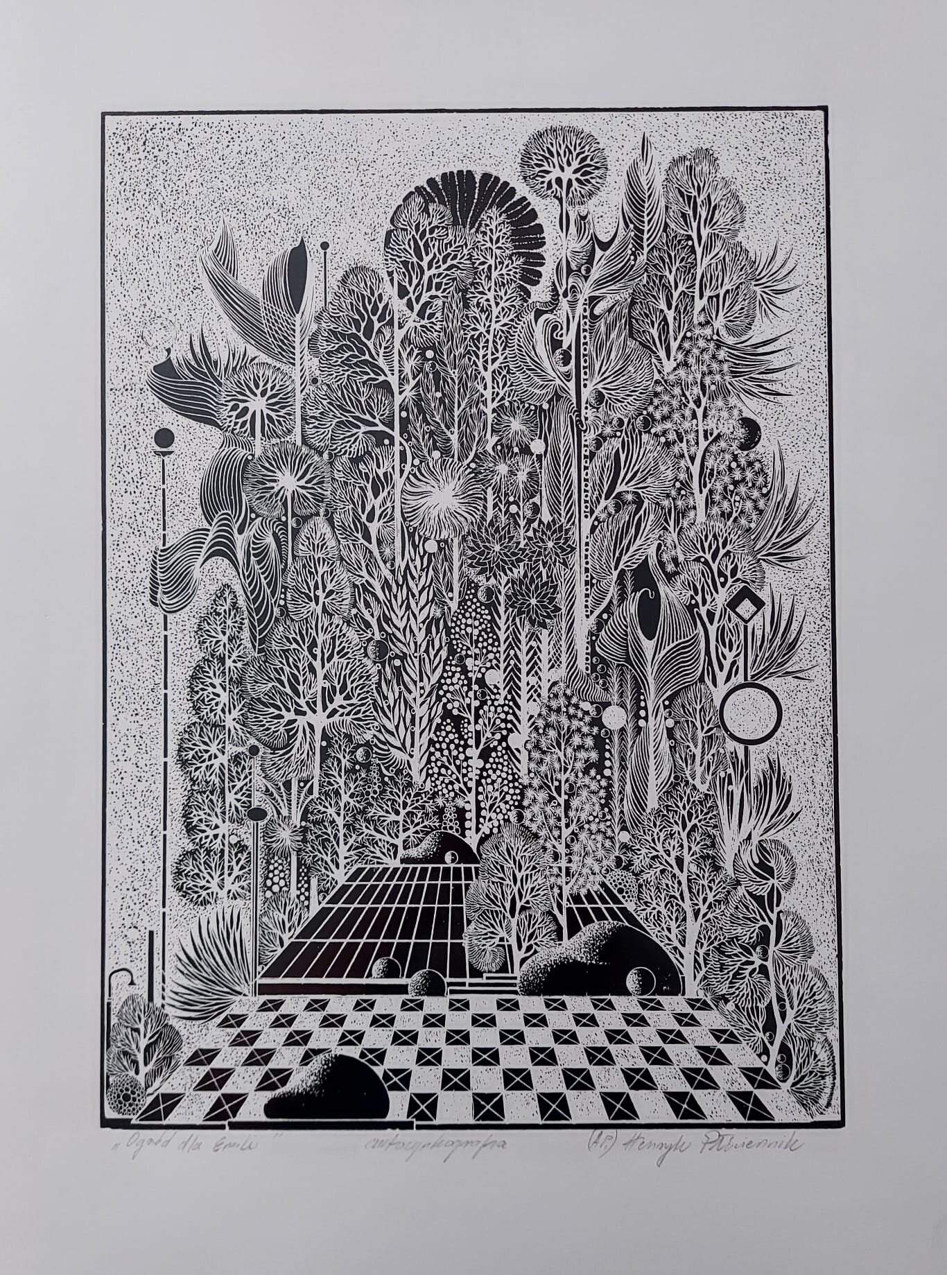 HENRYK PŁÓCIENNIK 'Ogród dla Emilii' lata 60, autocynkgrafia, papier, 45x32cm